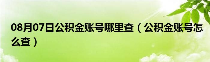 08月07日公积金账号哪里查（公积金账号怎么查）