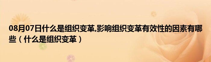 08月07日什么是组织变革,影响组织变革有效性的因素有哪些（什么是组织变革）