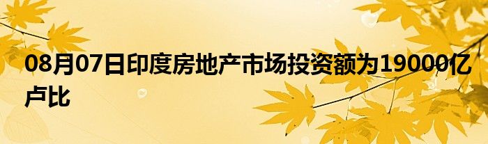 08月07日印度房地产市场投资额为19000亿卢比