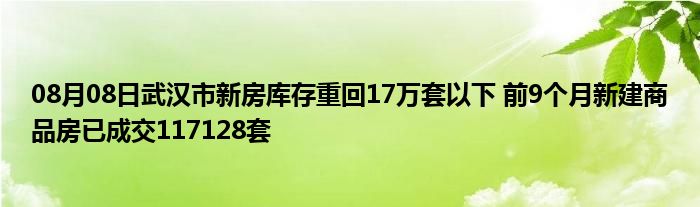 08月08日武汉市新房库存重回17万套以下 前9个月新建商品房已成交117128套