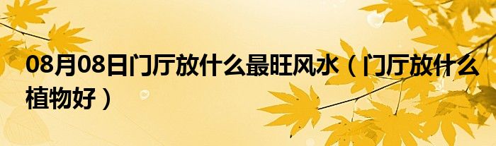 08月08日门厅放什么最旺风水（门厅放什么植物好）