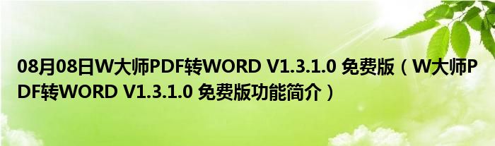 08月08日W大师PDF转WORD V1.3.1.0 免费版（W大师PDF转WORD V1.3.1.0 免费版功能简介）