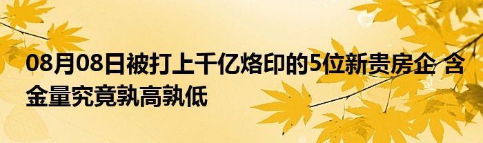 08月08日被打上千亿烙印的5位新贵房企 含金量究竟孰高孰低