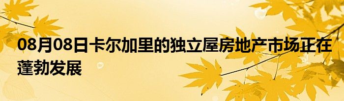 08月08日卡尔加里的独立屋房地产市场正在蓬勃发展