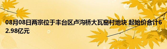 08月08日两宗位于丰台区卢沟桥大瓦窑村地块 起始价合计62.98亿元