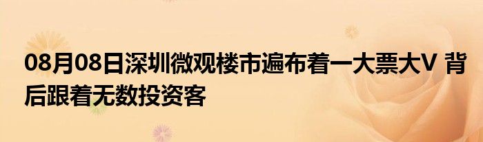 08月08日深圳微观楼市遍布着一大票大V 背后跟着无数投资客