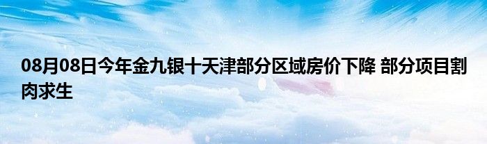 08月08日今年金九银十天津部分区域房价下降 部分项目割肉求生