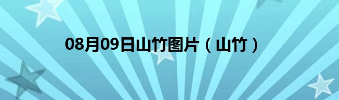 08月09日山竹图片（山竹）