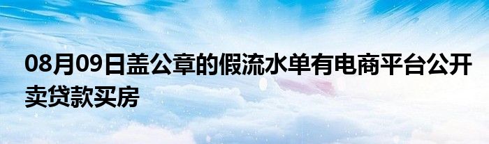 08月09日盖公章的假流水单有电商平台公开卖贷款买房