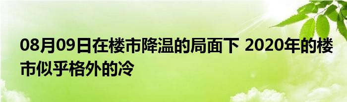 08月09日在楼市降温的局面下 2020年的楼市似乎格外的冷