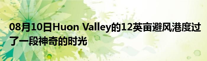 08月10日Huon Valley的12英亩避风港度过了一段神奇的时光