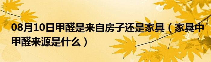 08月10日甲醛是来自房子还是家具（家具中甲醛来源是什么）