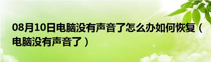 08月10日电脑没有声音了怎么办如何恢复（电脑没有声音了）