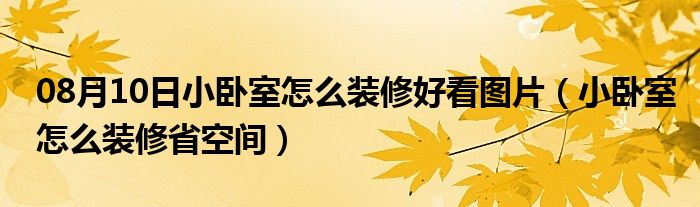 08月10日小卧室怎么装修好看图片（小卧室怎么装修省空间）