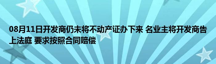 08月11日开发商仍未将不动产证办下来 名业主将开发商告上法庭 要求按照合同赔偿