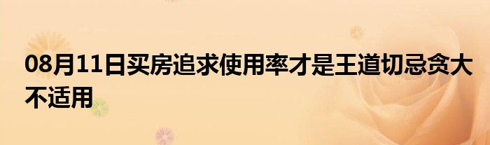 08月11日买房追求使用率才是王道切忌贪大不适用