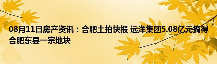 08月11日房产资讯：合肥土拍快报 远洋集团5.08亿元摘得合肥东县一宗地块