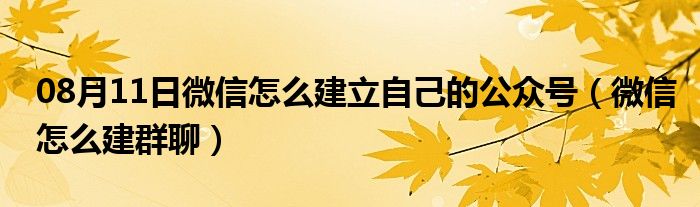 08月11日微信怎么建立自己的公众号（微信怎么建群聊）