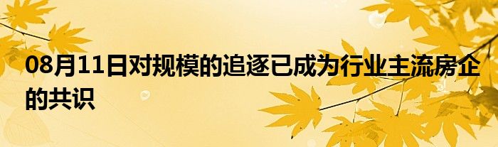 08月11日对规模的追逐已成为行业主流房企的共识