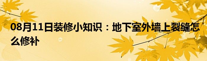 08月11日装修小知识：地下室外墙上裂缝怎么修补