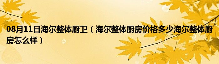 08月11日海尔整体厨卫（海尔整体厨房价格多少海尔整体厨房怎么样）