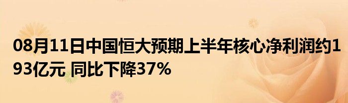 08月11日中国恒大预期上半年核心净利润约193亿元 同比下降37%