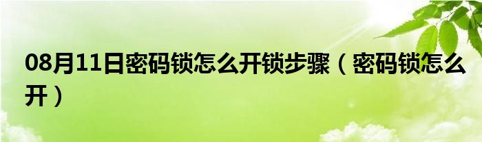 08月11日密码锁怎么开锁步骤（密码锁怎么开）