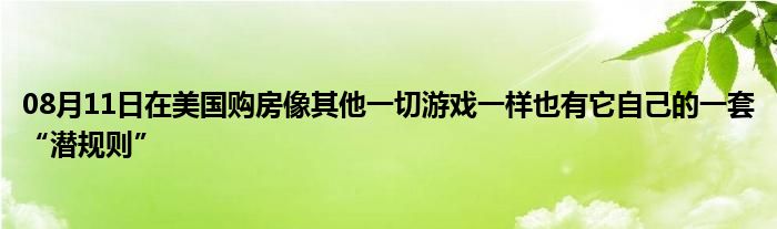 08月11日在美国购房像其他一切游戏一样也有它自己的一套“潜规则”