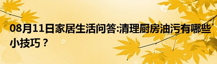 08月11日家居生活问答:清理厨房油污有哪些小技巧？