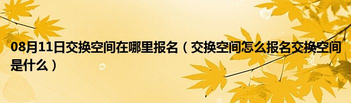 08月11日交换空间在哪里报名（交换空间怎么报名交换空间是什么）