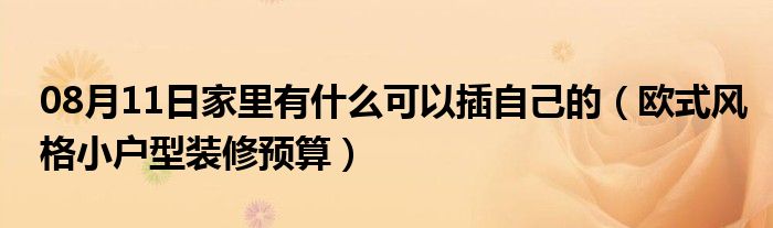 08月11日家里有什么可以插自己的（欧式风格小户型装修预算）