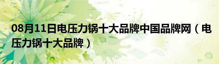 08月11日电压力锅十大品牌中国品牌网（电压力锅十大品牌）