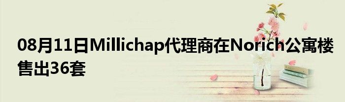 08月11日Millichap代理商在Norich公寓楼售出36套