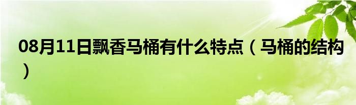 08月11日飘香马桶有什么特点（马桶的结构）