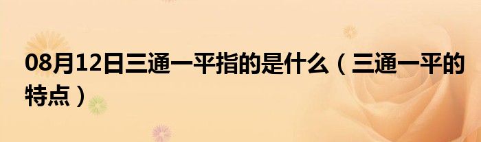 08月12日三通一平指的是什么（三通一平的特点）