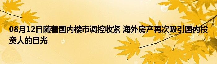 08月12日随着国内楼市调控收紧 海外房产再次吸引国内投资人的目光