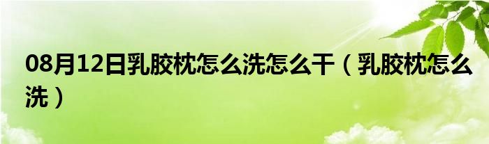 08月12日乳胶枕怎么洗怎么干（乳胶枕怎么洗）