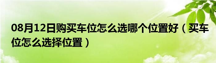 08月12日购买车位怎么选哪个位置好（买车位怎么选择位置）