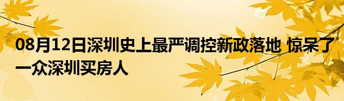 08月12日深圳史上最严调控新政落地 惊呆了一众深圳买房人