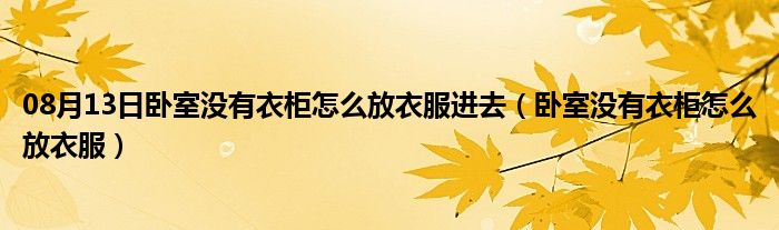 08月13日卧室没有衣柜怎么放衣服进去（卧室没有衣柜怎么放衣服）