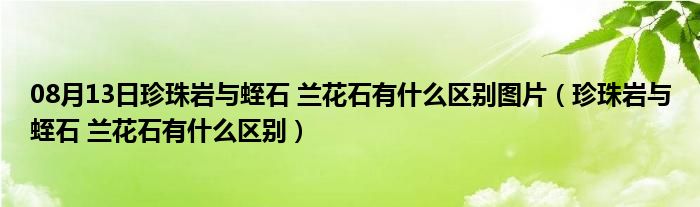 08月13日珍珠岩与蛭石 兰花石有什么区别图片（珍珠岩与蛭石 兰花石有什么区别）