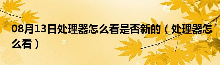 08月13日处理器怎么看是否新的（处理器怎么看）