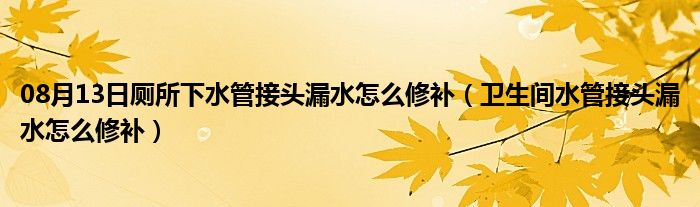 08月13日厕所下水管接头漏水怎么修补（卫生间水管接头漏水怎么修补）