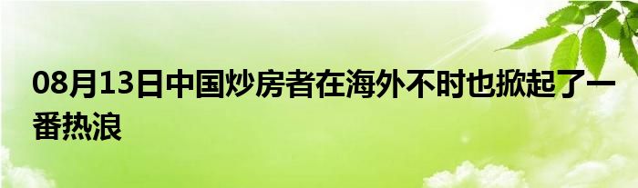 08月13日中国炒房者在海外不时也掀起了一番热浪