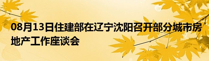 08月13日住建部在辽宁沈阳召开部分城市房地产工作座谈会