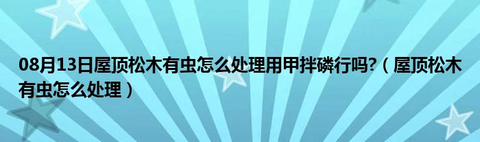 08月13日屋顶松木有虫怎么处理用甲拌磷行吗?（屋顶松木有虫怎么处理）