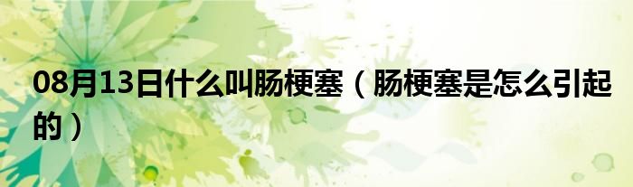 08月13日什么叫肠梗塞（肠梗塞是怎么引起的）