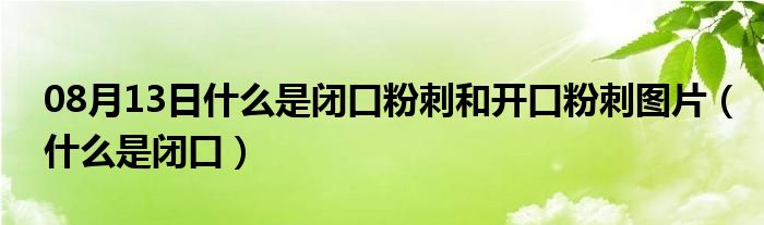 08月13日什么是闭口粉刺和开口粉刺图片（什么是闭口）