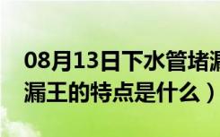 08月13日下水管堵漏王使用方法（下水管堵漏王的特点是什么）