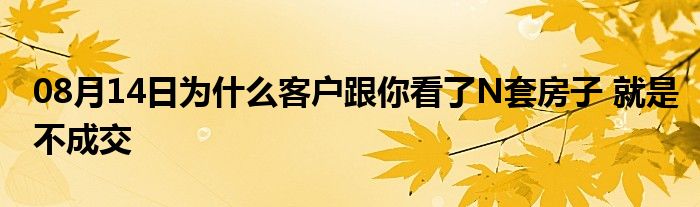 08月14日为什么客户跟你看了N套房子 就是不成交